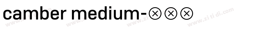 camber medium字体转换